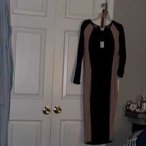 Elegant Black and Tan Dress